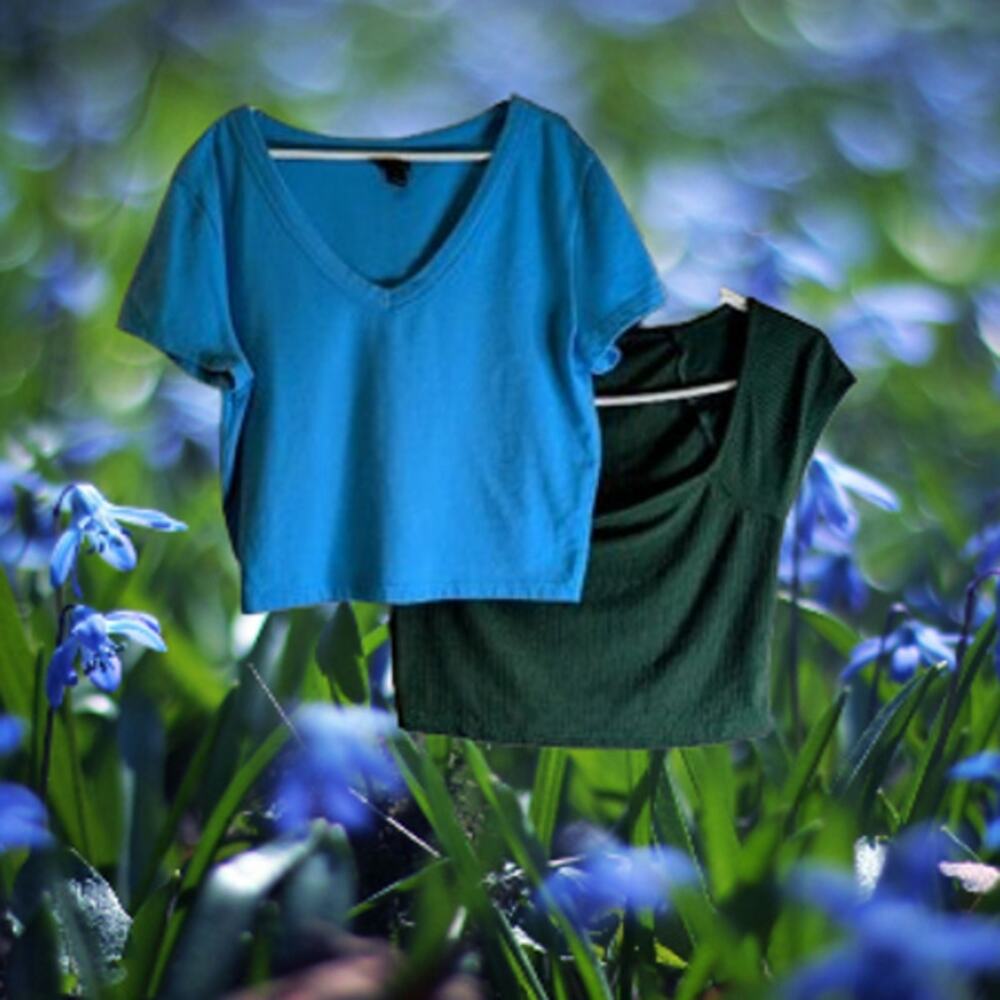 2 crop tops Wild Fable small cotton blend, Shein small poly blend. Both stretch